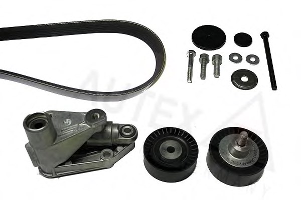 AUTEX 702658 V-Ribbed Belt Set